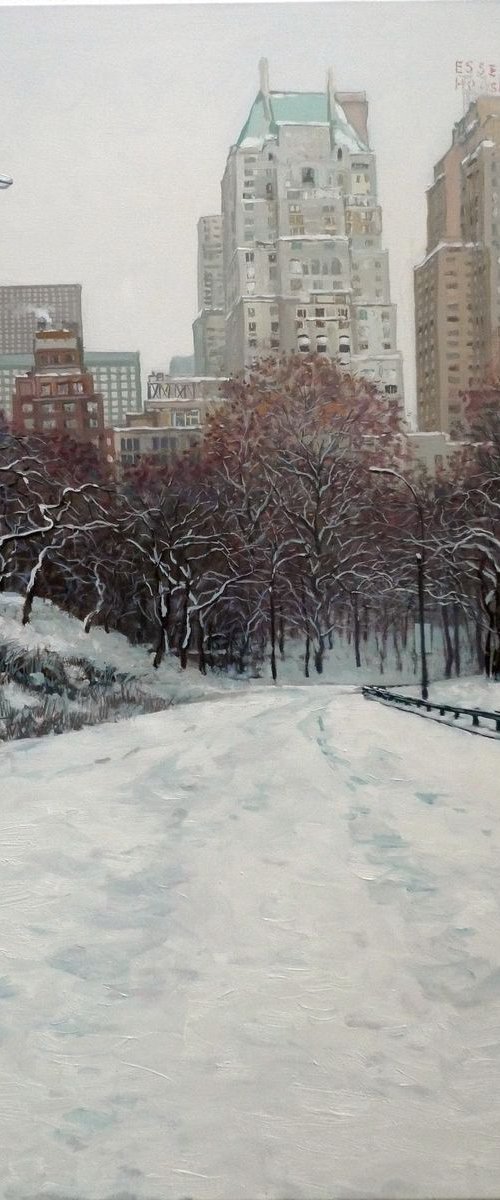 Central Park 11 by Sergej Sologub