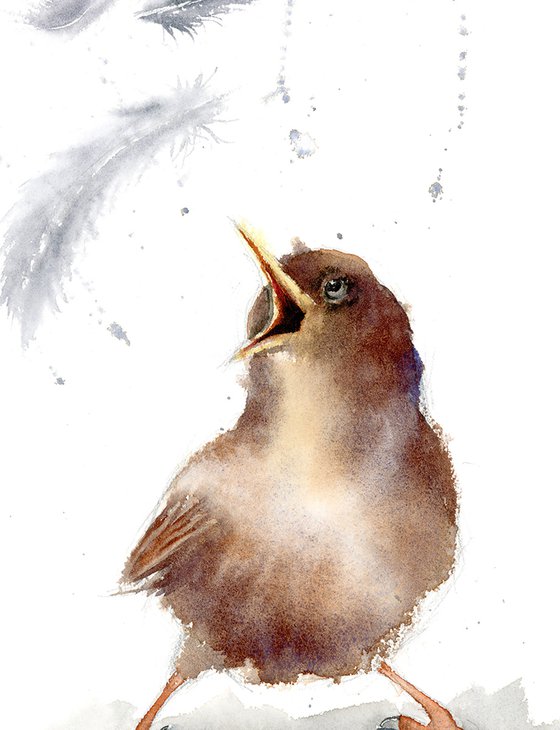 Bird and feather 2 ( 1 of 3) -  Original Watercolor Painting