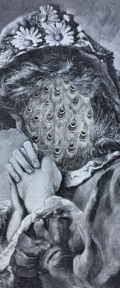The Peacock by Tudor Evans