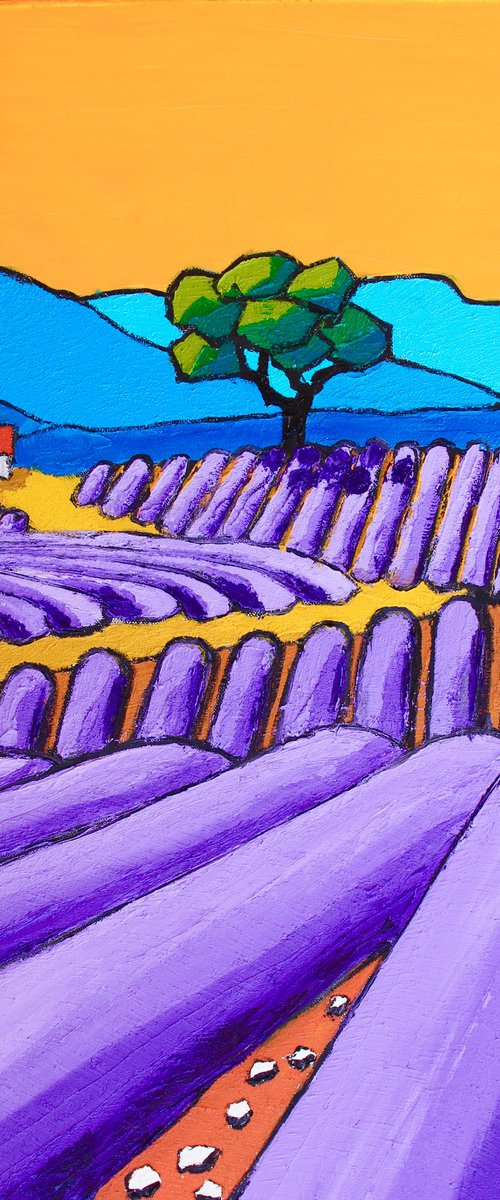 Lavande sur le plateau de Valensole by Olivier Boissinot