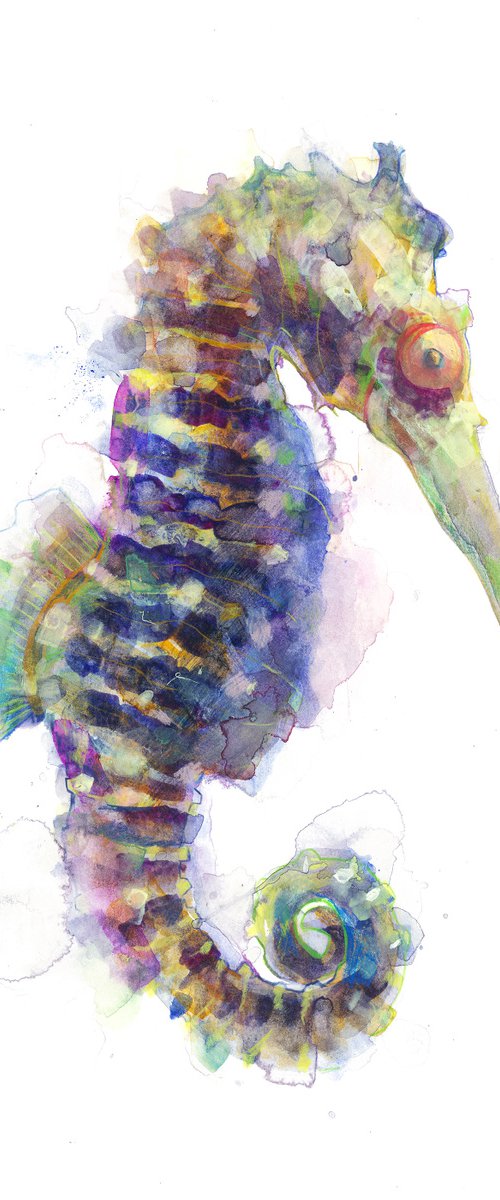 Seahorse by Gavin Dobson