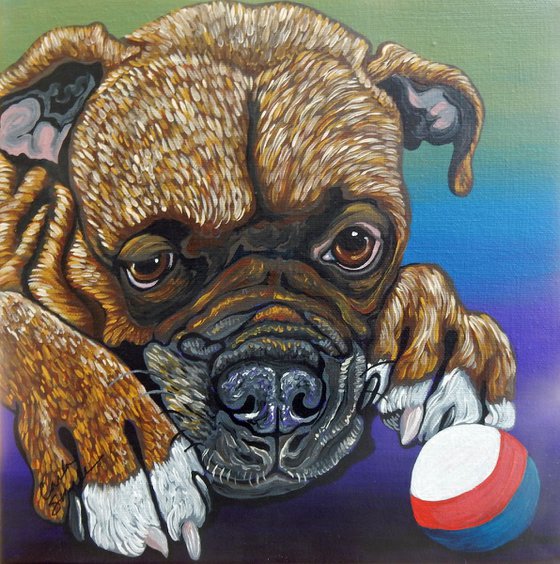 Boxer Pet Dog Original Art Painting-10 x 10 Inches Stretched Canvas-Carla Smale