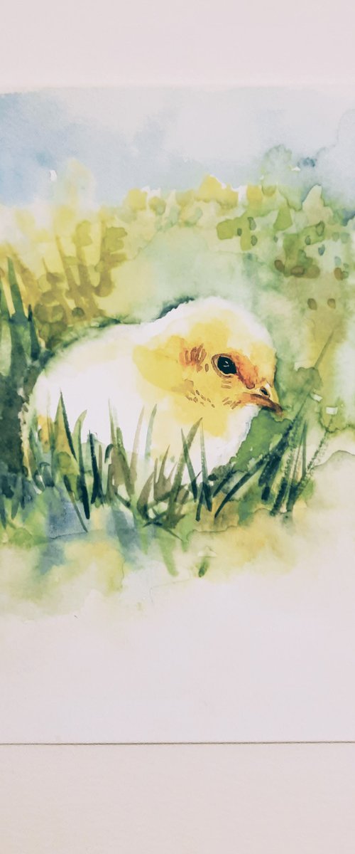 Baby chick art by Asha Shenoy