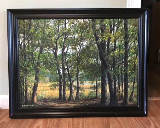 MARSH TRAIL - VEREEN GARDENS - 18X24 inch framed oil landscape