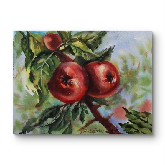 Apples. Original artwork .