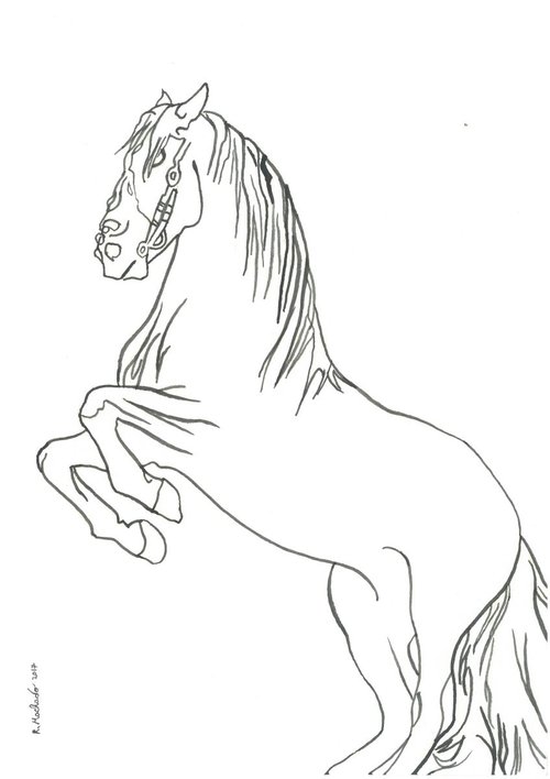 Horse I Animal Drawing by Ricardo Machado