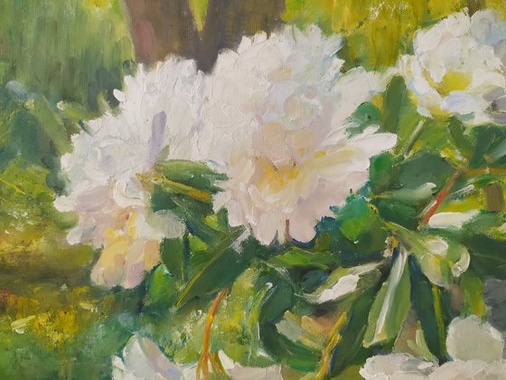 Peonies on the bench