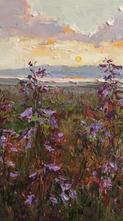 Sunset Over Wildflowers by Anastasiia Valiulina