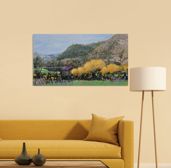Where Mimosas Bloom