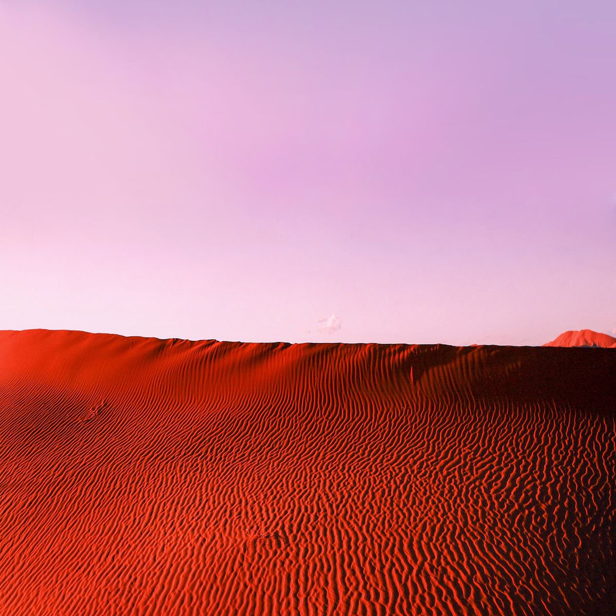 Photorealistic Photograph , Pink Desert By Nadia Attura, 20 X 20, Artwork For Sale On Artfinder