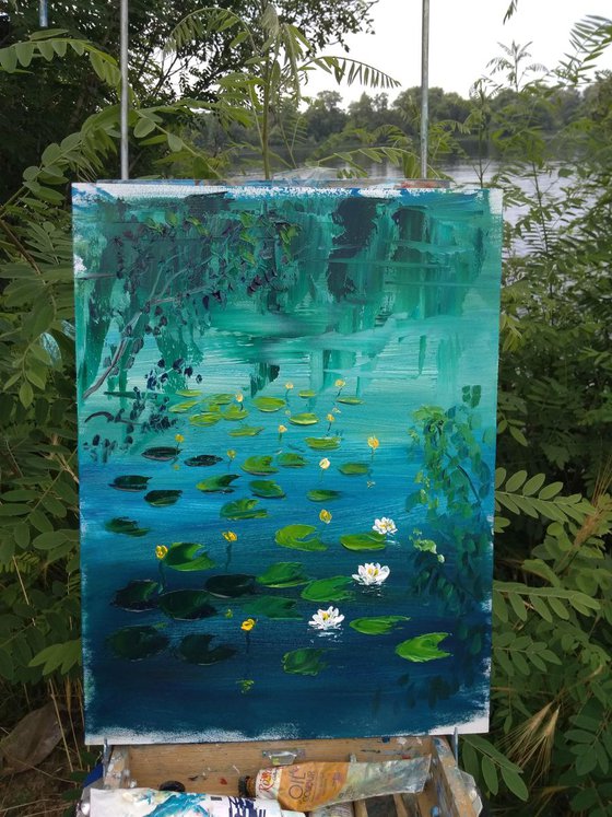 Waterlilies at the river. Pleinair painting