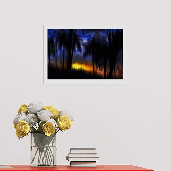 Tropical Palms. Limited Edition 1/50 15x10 inch Photographic Print