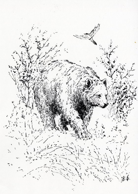 A Bear on a Walk