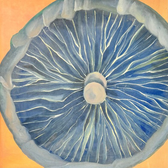 Fungi#001