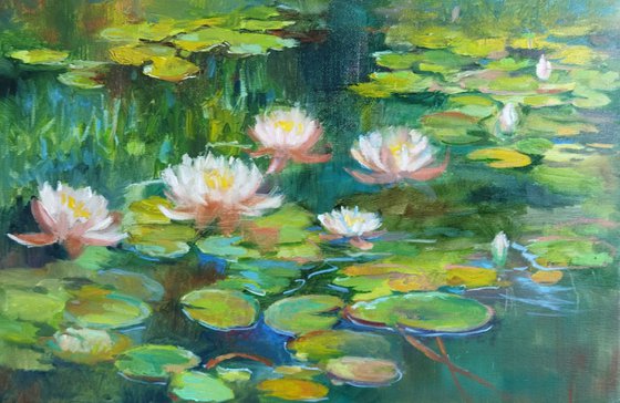 Water Lilies 60x40cm