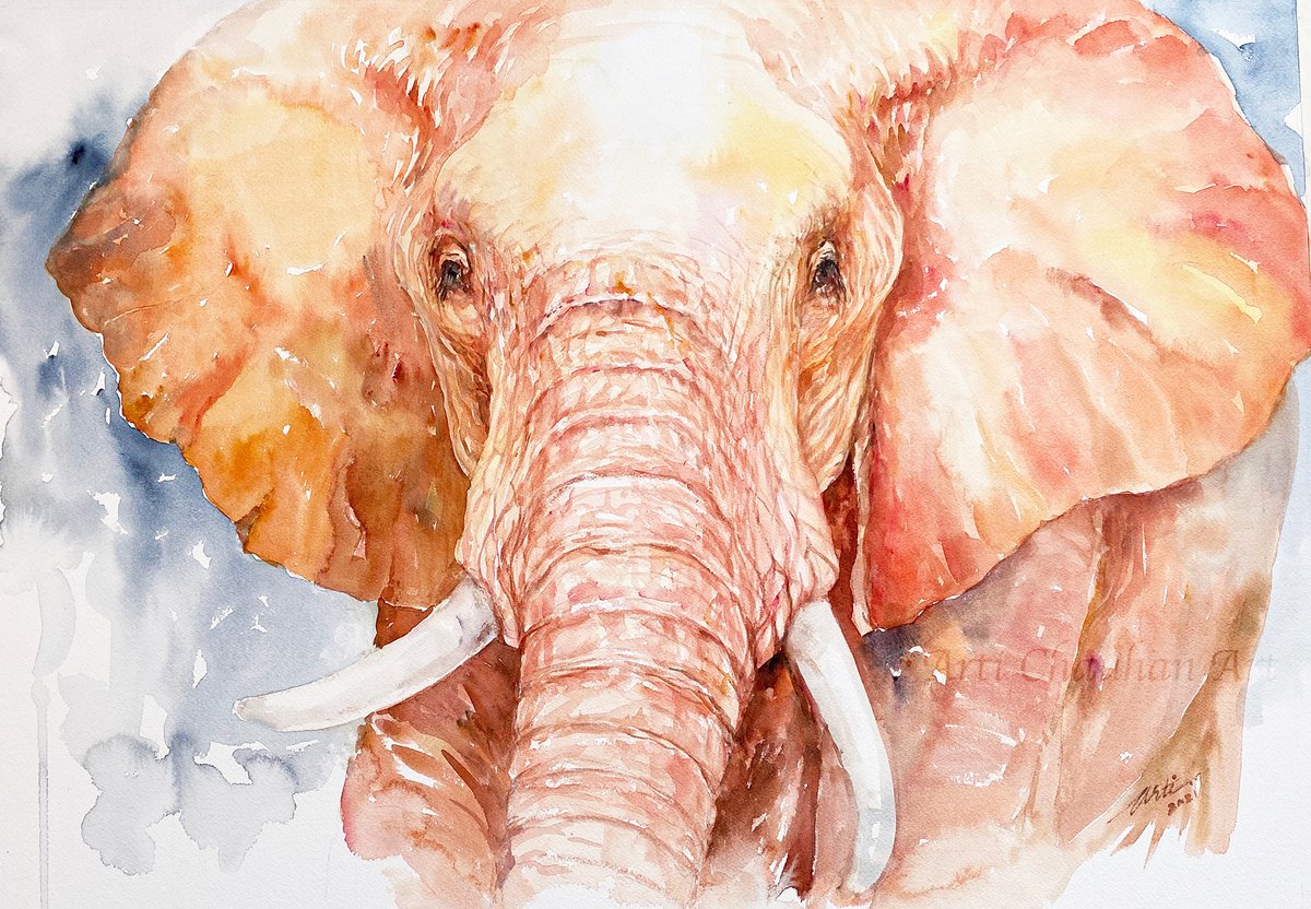 Gentle Gilbert Elephant by Arti Chauhan