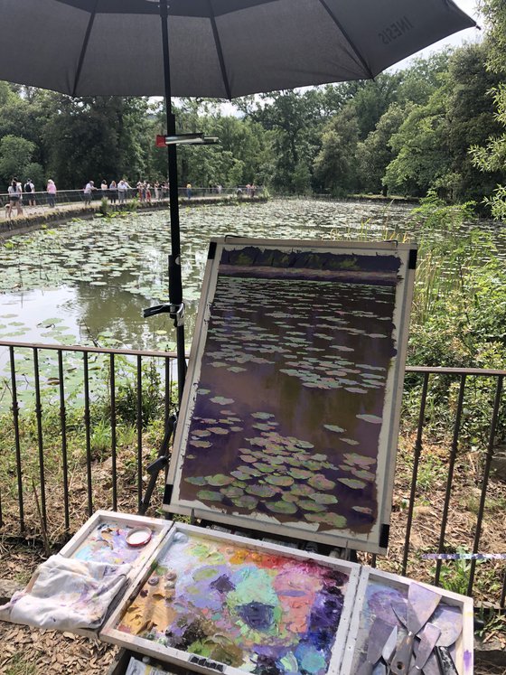 The Water Lilies of Pratolino