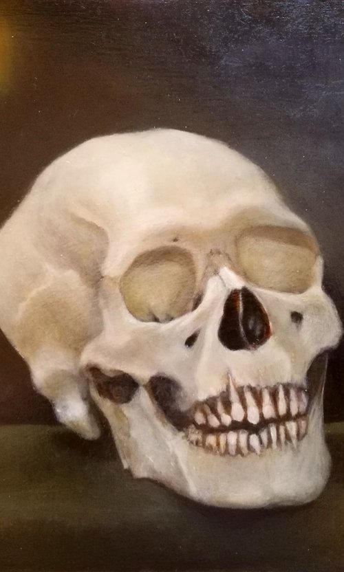 Vanitas Vanitatum, Omnia Vanitas by Daniela Roughsedge