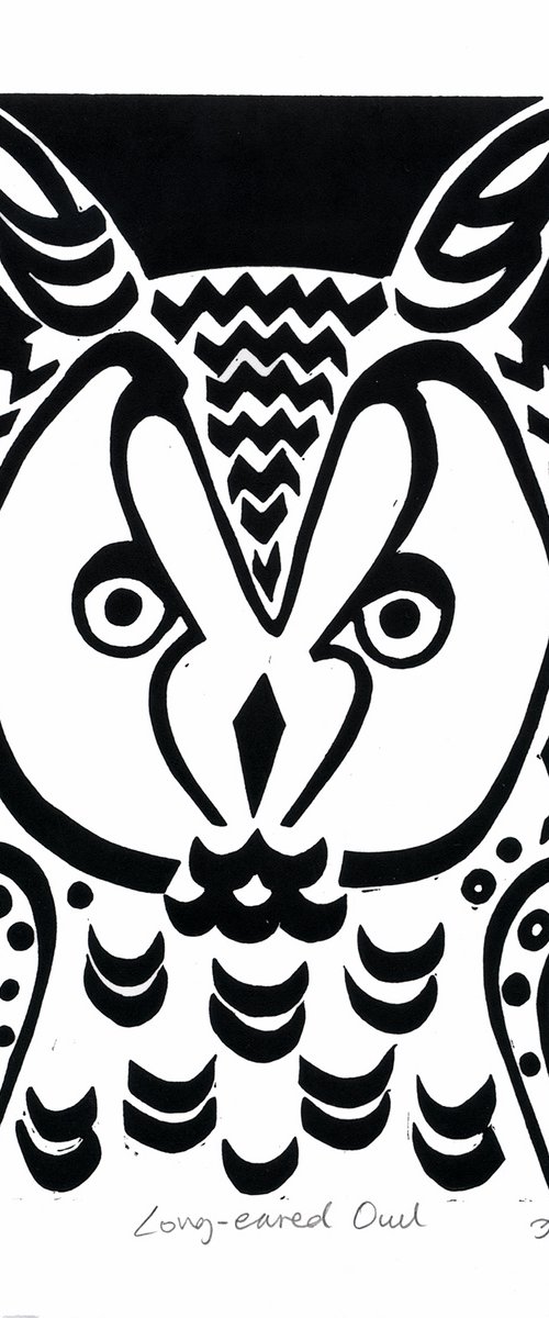 Long-eared Owl b/w (edition of 30) by Catherine Cronin
