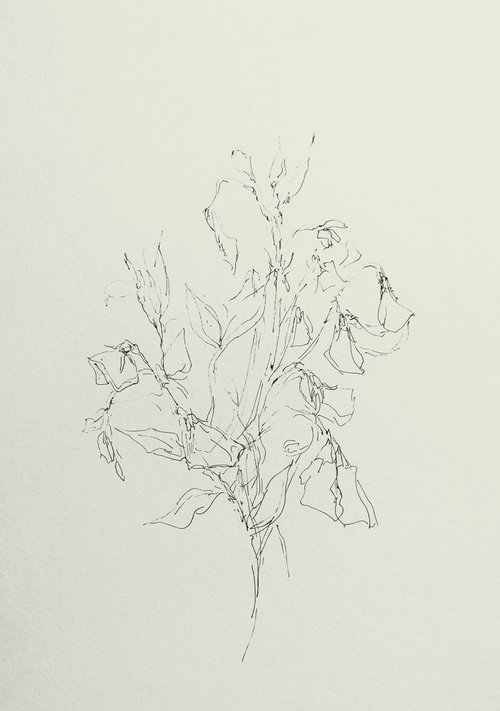 Sweet pea #5 - Still life. Original pencil drawing by Yury Klyan