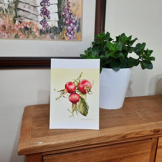 Ruby Rosehips - Watercolour