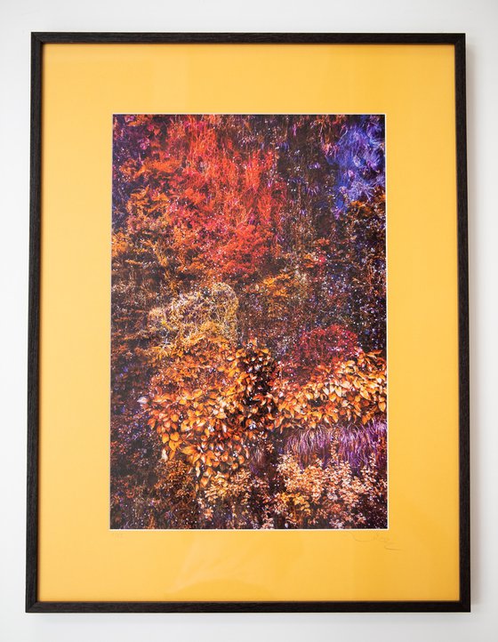 Wall of Nature LXII (Framed)