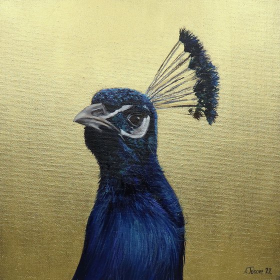 Peacock Portrait III