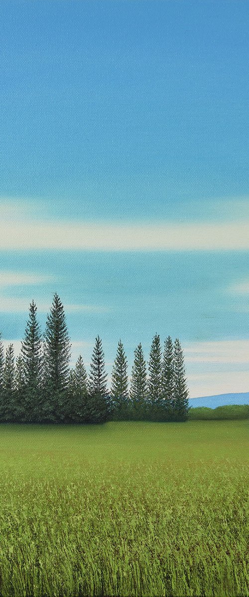 Evergreens - Blue Sky Landscape by Suzanne Vaughan