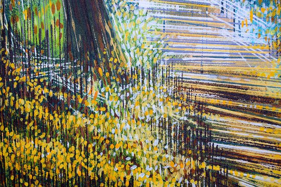 Light Through Autumn Trees