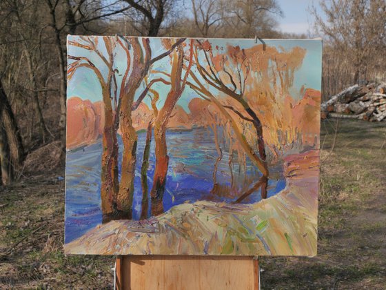 A bay on the Desna River
