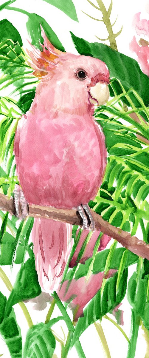 Pink Cockatoo by Suren Nersisyan