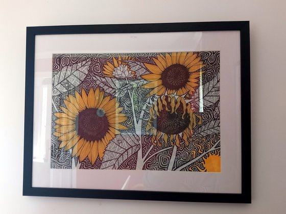 The Fading Summer Sun