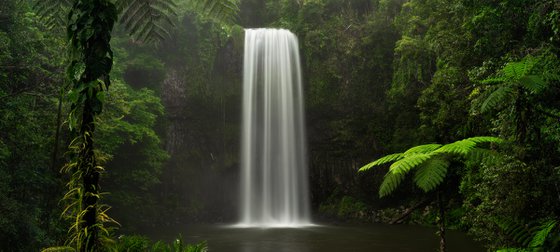 Millaa Millaa Falls