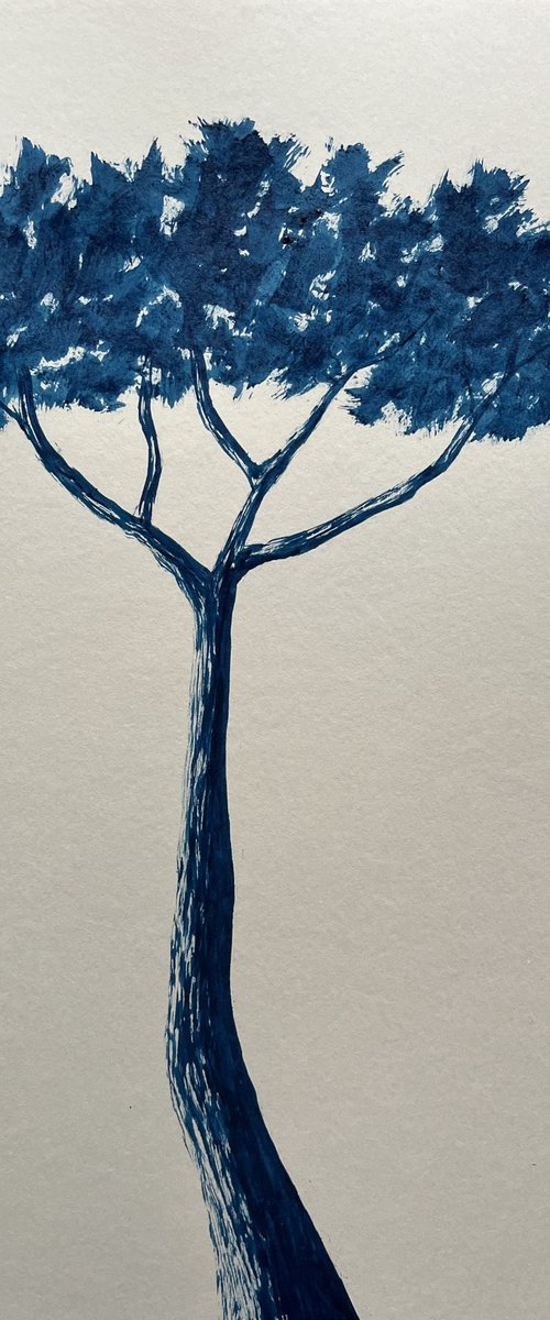 Indigo pinetree by Cadiou Frederic