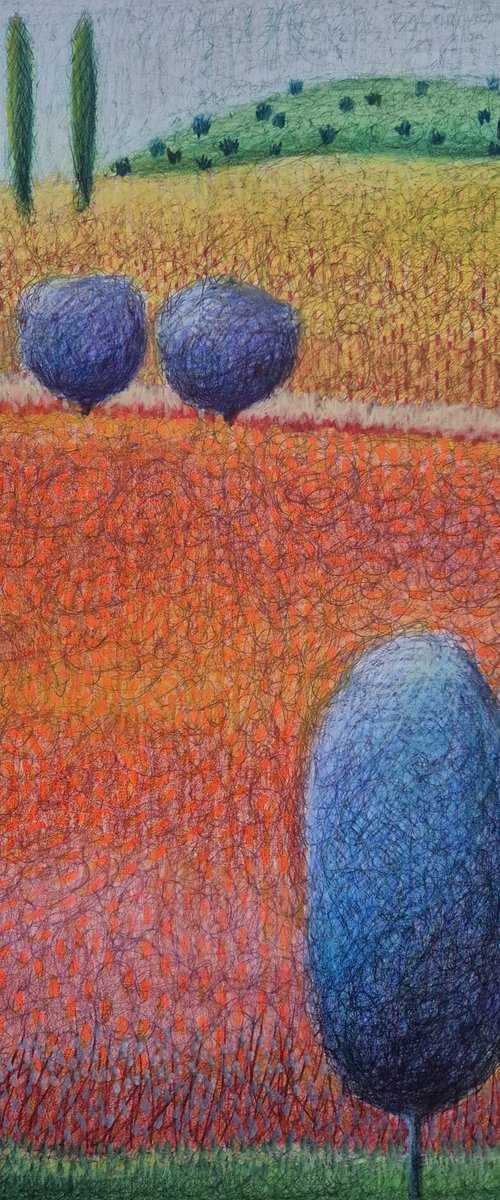 Amber fields by GITTI gv