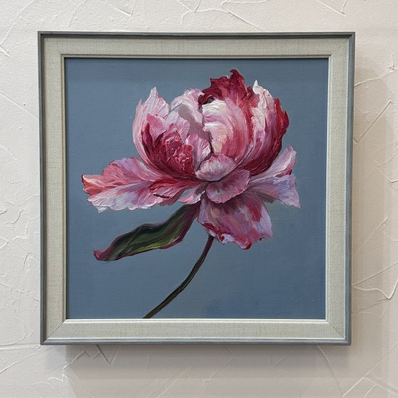 Pink miracle. Peony.