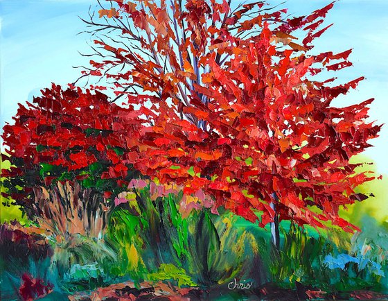 Maple with Burning Bush