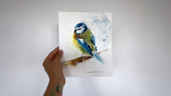 Eurasian Blue Tit