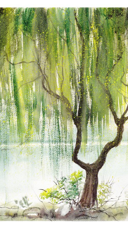 Weeping Willow by Yulia Schuster