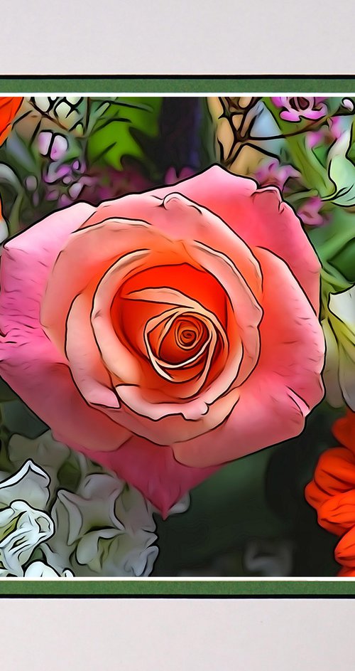 Rose Photo Illustration by Robin Clarke