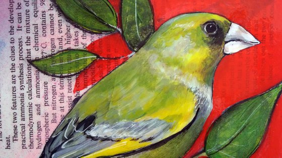 Greenfinch - Ornithology#4 - Framed ready to hang original painting