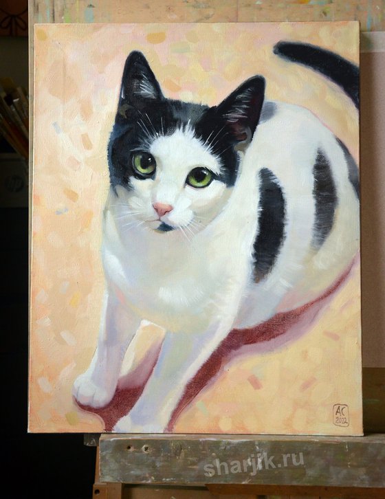 Portrait of pets, portrait of a cat to order