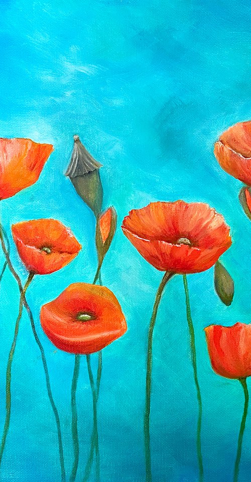 Poppies by Heather Matthews