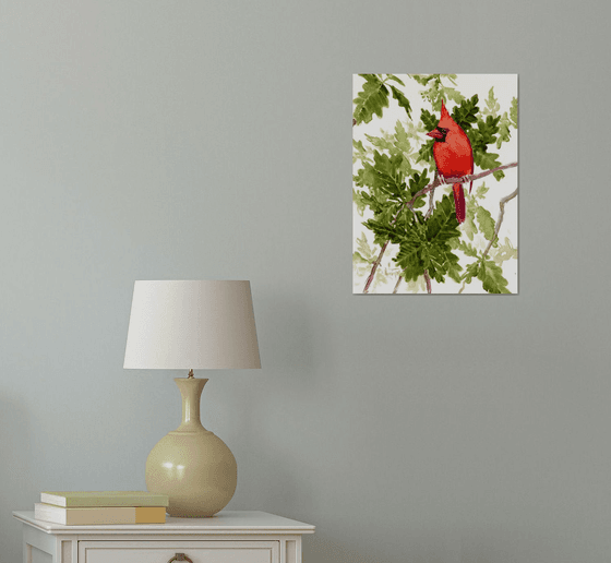 Red Cardinal on Oak Tree