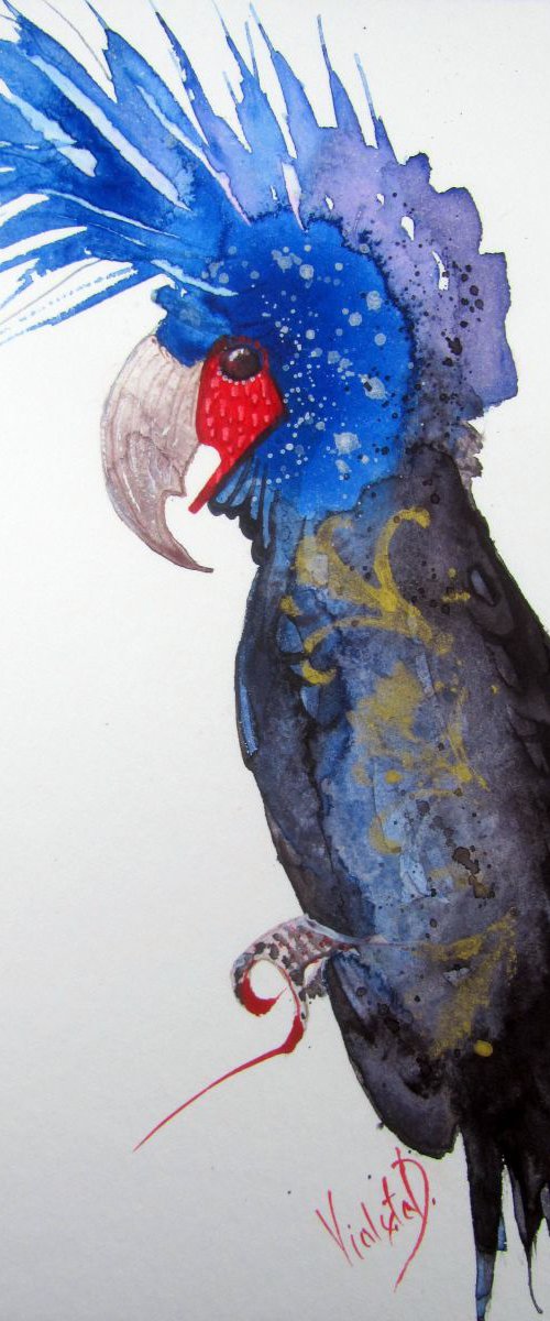 Fantasy Parrot by Violeta Damjanovic-Behrendt