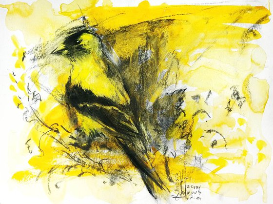 Golden finch#2