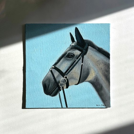 Horse Portrait 8