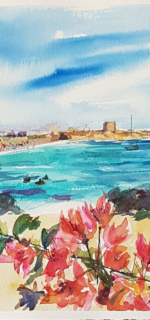 Bougainvillea in Tabarca by Silvia Flores Vitiello