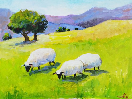 Pasture with sheep