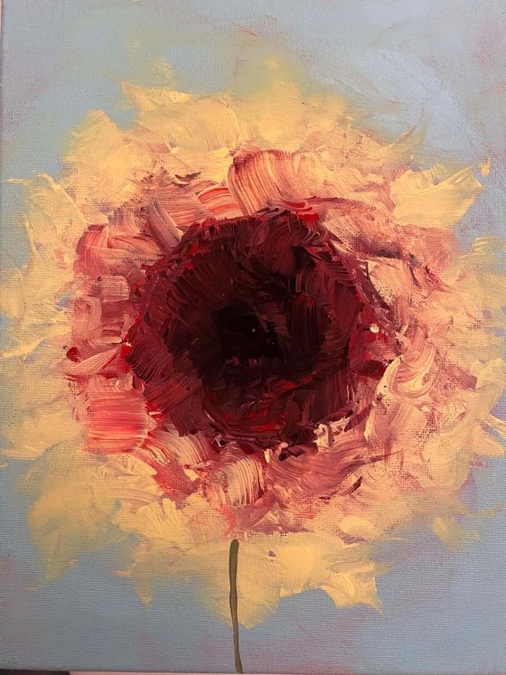 Sun Flora